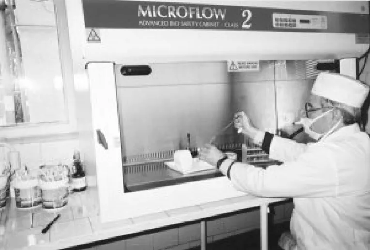 5 miliarde de euro pot fi accesate in urmatorii doi ani de IMM-uri