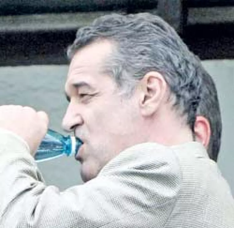 Beeecali a facut-o de oaie!