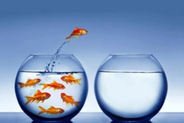 Horoscop: Saptamana 14-20 Mai 2018