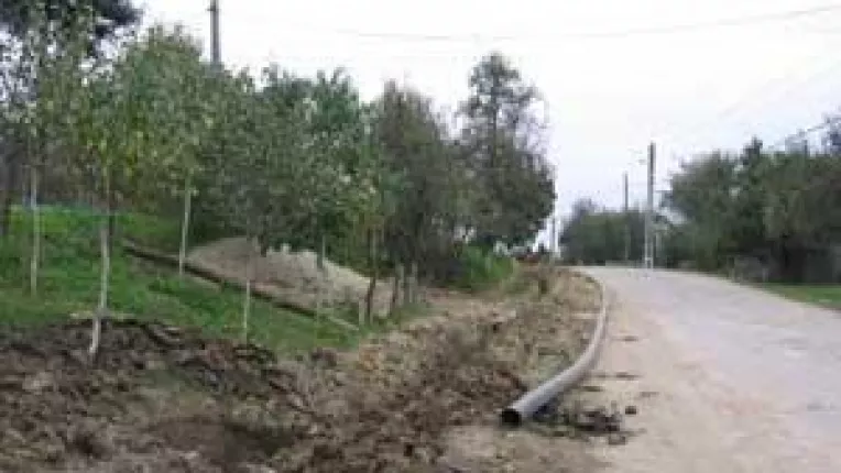 Milioane de euro ingropate in cismele