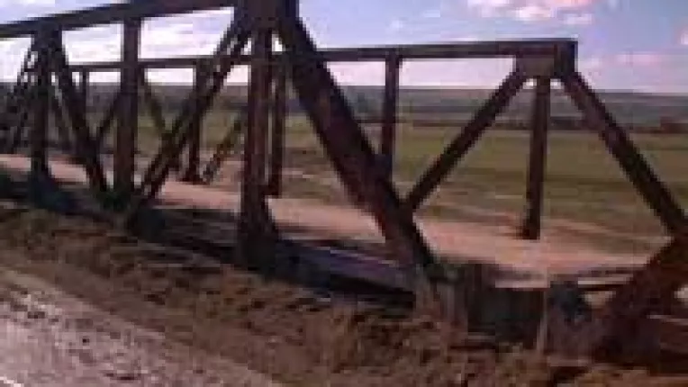 Pod peste Prut scos la vinzare