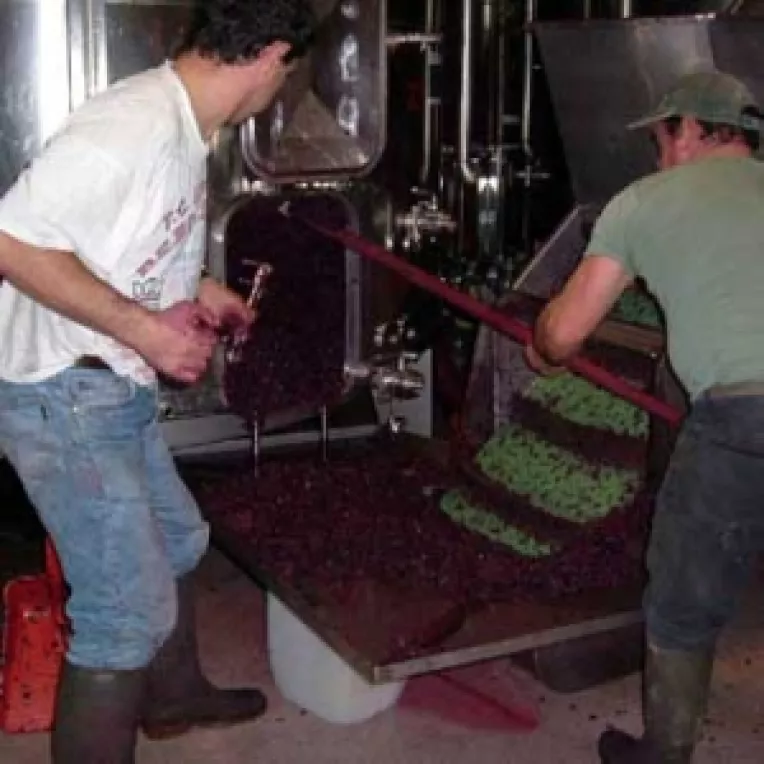 UE interzice adaosul de zahar in vin